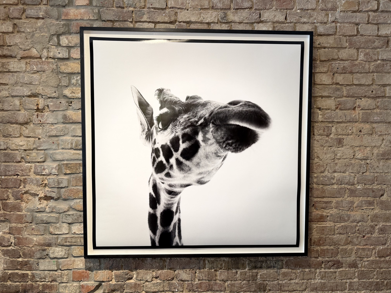 Giraffe (Rieke)